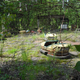 Illustration for article titled These photographs of present-day Chernobyl are utterly haunting